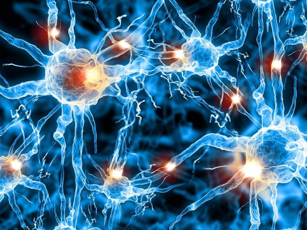 Verita Neuro - Blog - Image 1 - Using Exosome Therapy As Treatment For Spinal Cord Injury