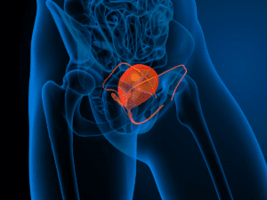 Verita Neuro - Blog - Header Image - Neurogenic Bladder Dysfunction Spinal Cord Injury - The Links