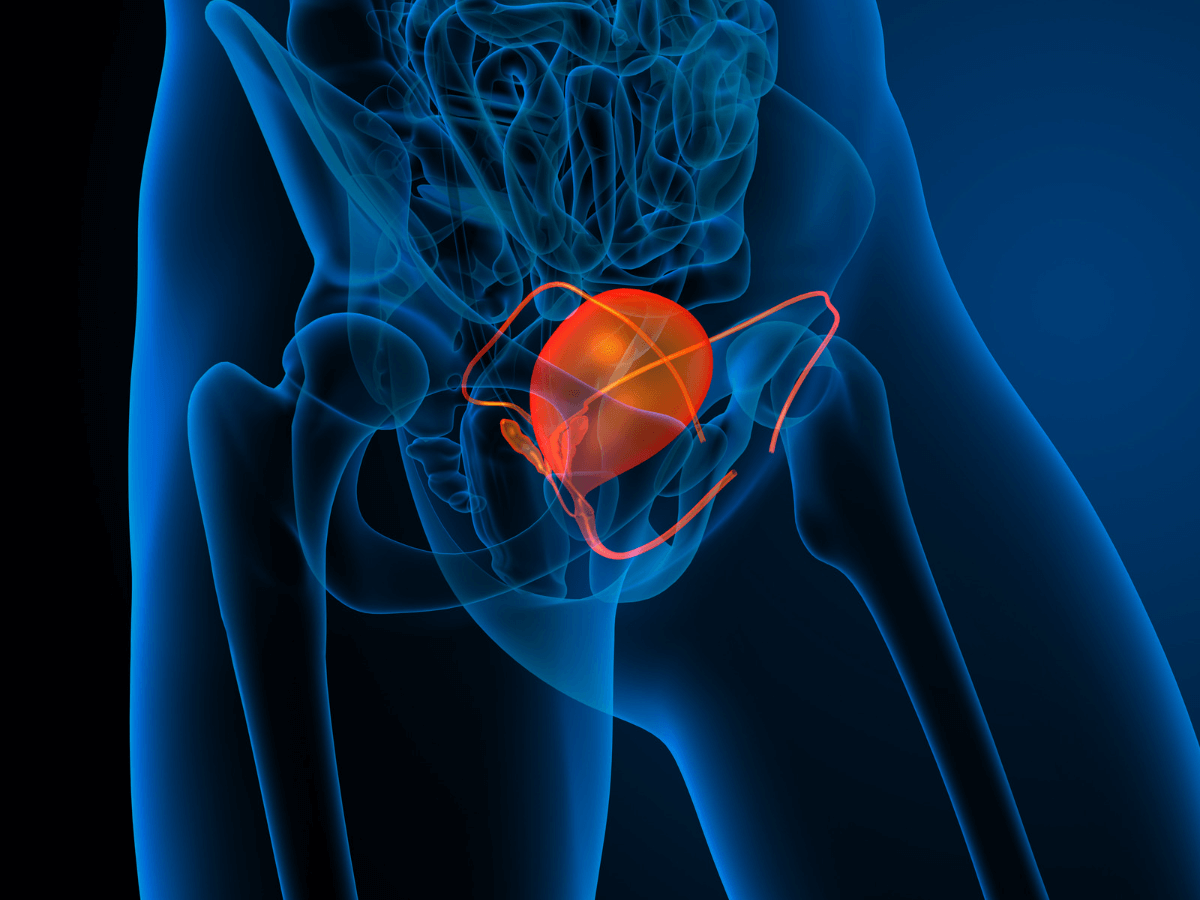 Verita Neuro - Blog - Header Image - Neurogenic Bladder Dysfunction Spinal Cord Injury - The Links