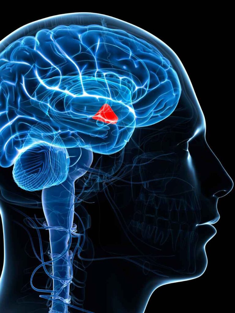 Verita Neuro - Blog - Image 1 - diagram indicating How Epidural Stimulation can Help