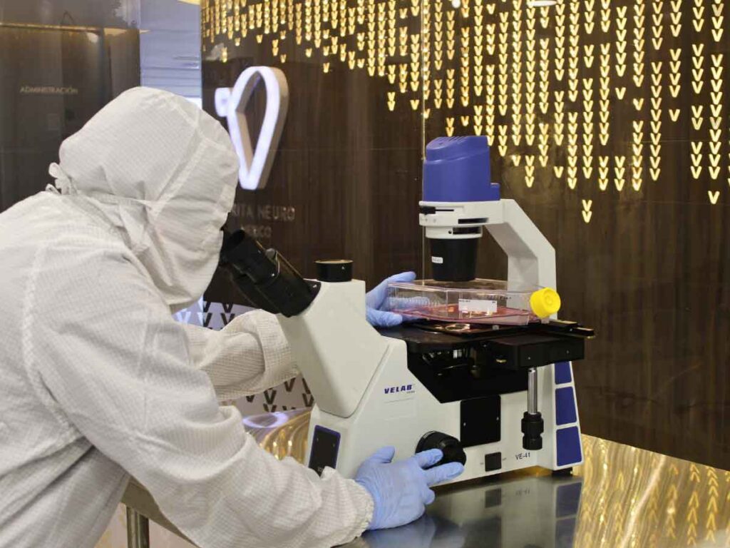 Inside the Verita Neuro Mexico stem cell lab, a lab technician meticulously works on a microscope with the Verita Neuro logo visible through a window in the background, illustrating the integration of advanced research within a state-of-the-art facility.